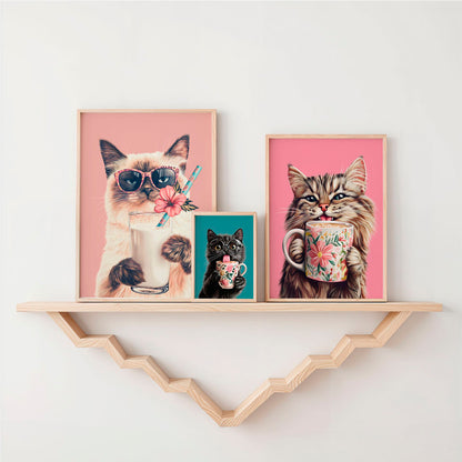 a shelf with three pictures of cats on it