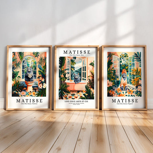 three framed prints of the famous French artist Matisse, each depicting a different scene from his work.