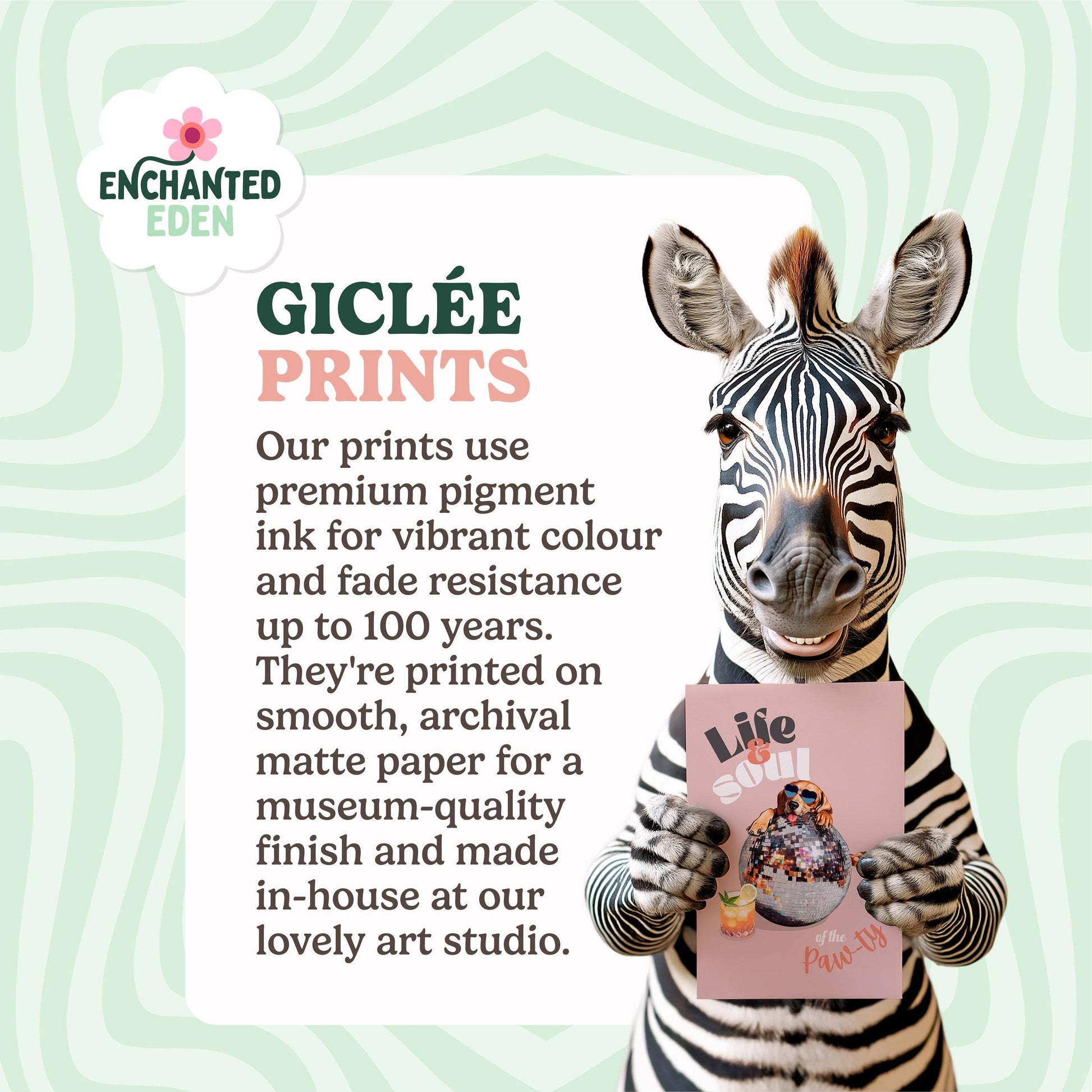 a zebra holding a book titled "Life & Soul" and is accompanied by text describing the quality of the prints.