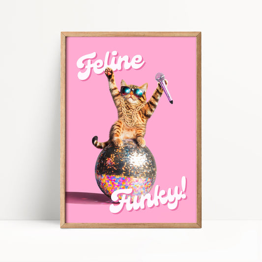 A cat wearing sunglasses and holding a microphone is sitting on a disco ball, with the text "Feline Funky!" written below the image.